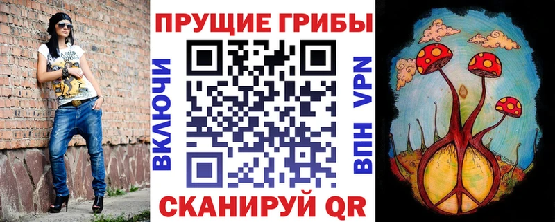Псилоцибиновые грибы Cubensis  блэк спрут маркетплейс  Иноземцево 